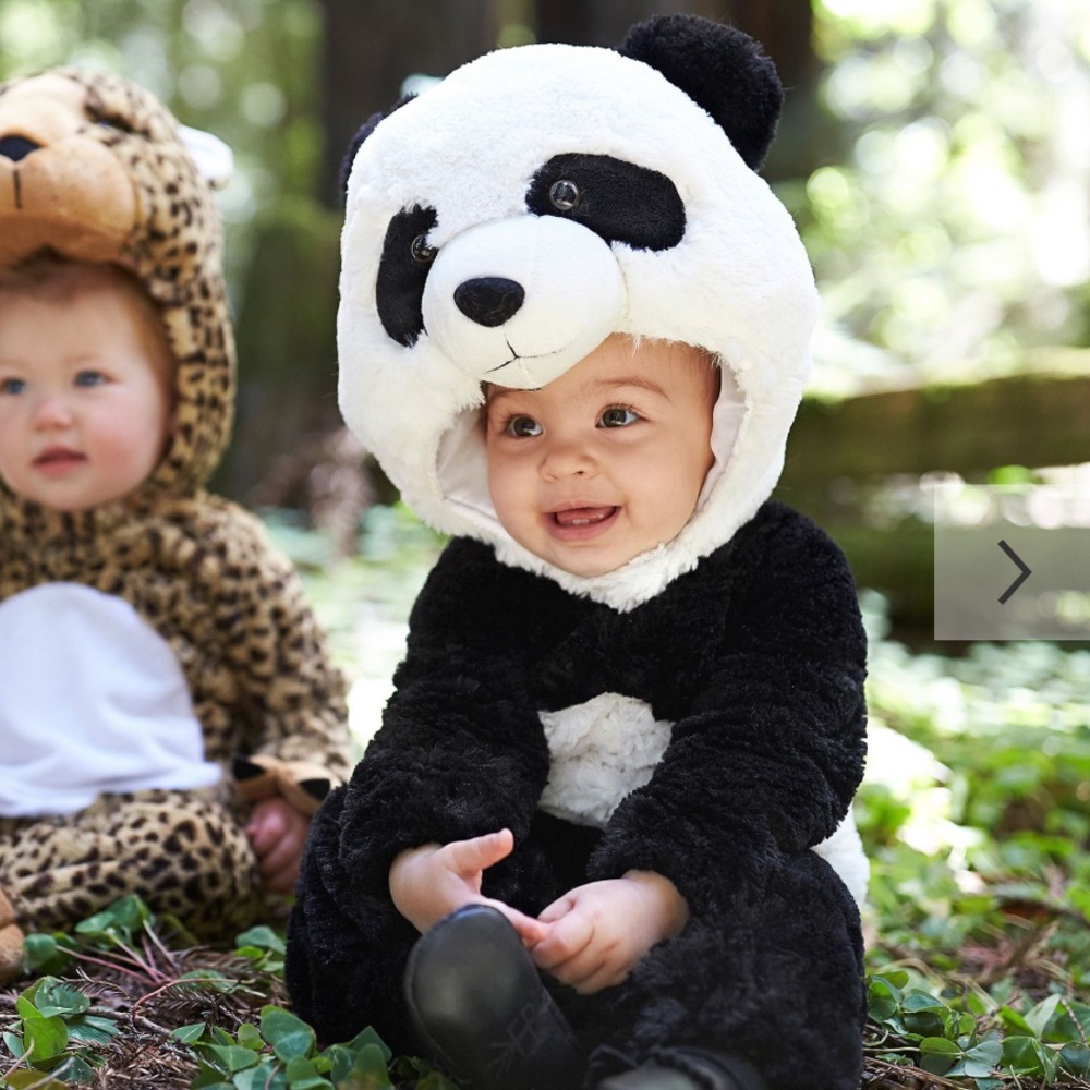 Pottery Barn Kids panda halloween costume